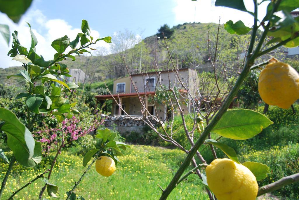 Al Melograno B&B Belmonte Calabro Quarto foto