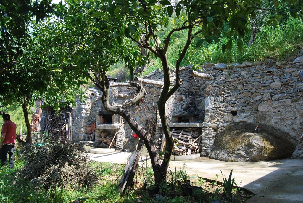 Al Melograno B&B Belmonte Calabro Quarto foto