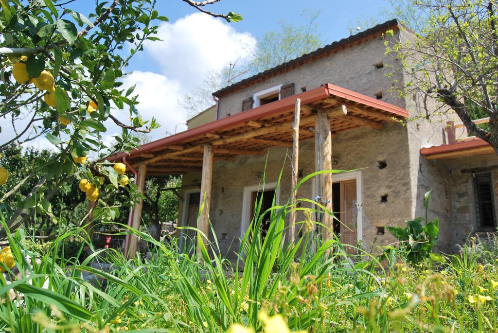 Al Melograno B&B Belmonte Calabro Exterior foto
