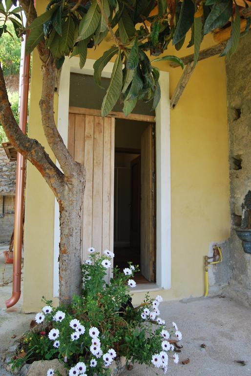 Al Melograno B&B Belmonte Calabro Exterior foto